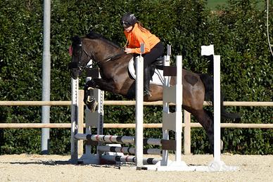 Pony sportivo 9 anni classe C