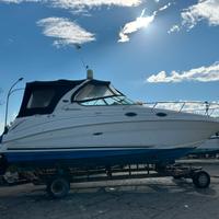 Sea Ray 315 Sundancer Possibile Permuta