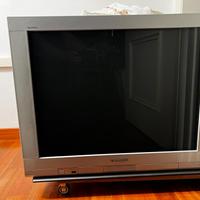Televisione