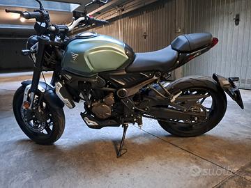 Voge Trofeo 300 - 2021