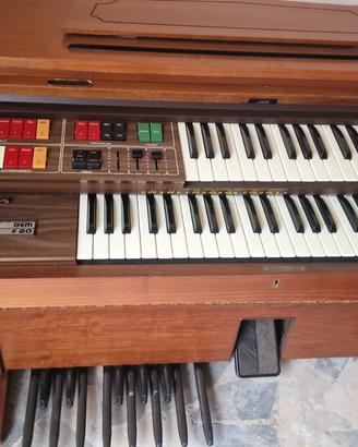 Organo Gem f20  (trattabile)