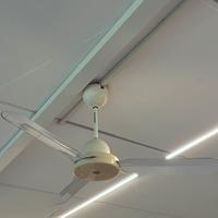 Ventilatore a soffitto Vortice