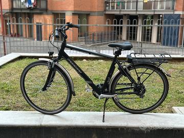 Bici elettrica Montana Bluecity 29”