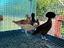Immagine 6