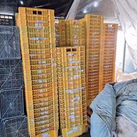 Cassette ortofrutta impilabili