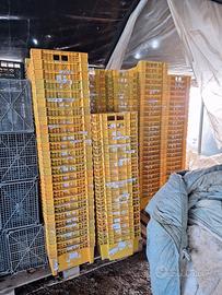 Cassette ortofrutta impilabili