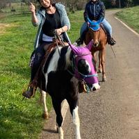 Cavallo super in fida