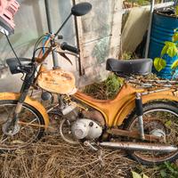 moto Guzzi dingo
