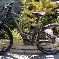 orbea wild