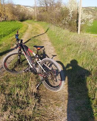 E-bike Armony Merano Evo