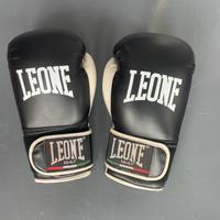 Guantoni Leone