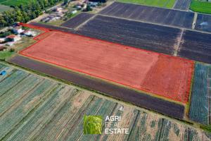 Terreno agricolo di 3 ettari pianeggiante