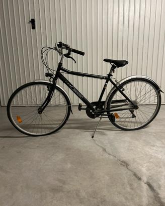 Bicicletta uomo