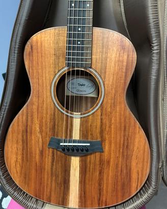 Taylor gs mini e-koa