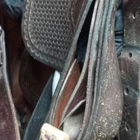 sella western denver reining