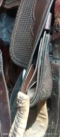 sella western denver reining