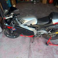 Aprilia rs 125 2005