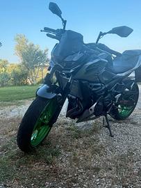 Kawasaki Z 500 - 2025