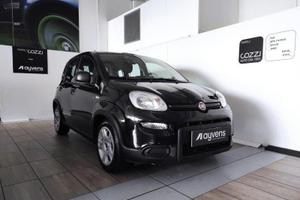 FIAT Panda 3ª serie - Panda 1.0 FireFly S&S Hybrid