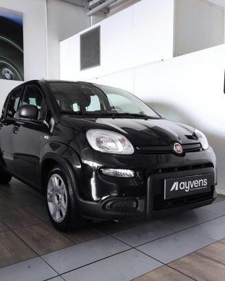 FIAT Panda 3ª serie - Panda 1.0 FireFly S&S Hybrid