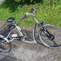 Bicicletta elettrica / triciclo / cargo bike Senio