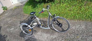 Bicicletta elettrica / triciclo / cargo bike Senio