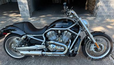 Harley Davidson Vrod muscle