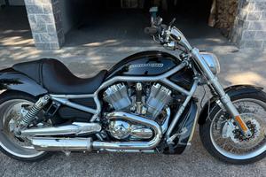 Harley Davidson Vrod muscle