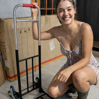 Carrello Porta Pacchi a 3 ruote per salire Scale