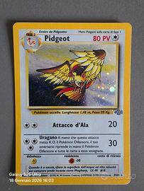 Carta pokemon holo Pidgeot