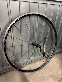 Ruota Fulcrum Racing 6 per bici da corsa