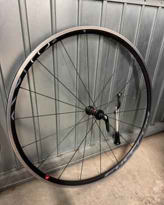 Ruota Fulcrum Racing 6 per bici da corsa