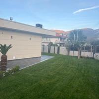 Prato a zolle