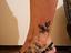 Immagine 2