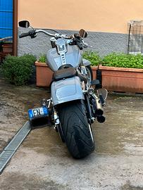 Harley davidson fat boy