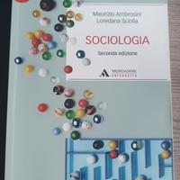 Libro preparazione esami universitari Sociologia