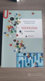 Libro preparazione esami universitari Sociologia