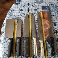 6 Coltelli da cucina - 4 Stainless Steel