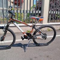 bicicletta ragazzo