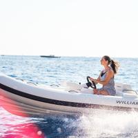 Williams TurboJet 325
