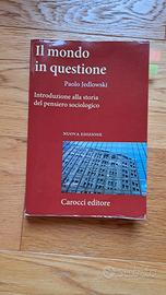 Libro: Il mondo in questione