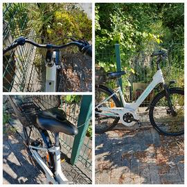bicicletta elettrica torpado