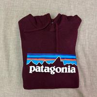 Felpa con cappuccio Patagonia