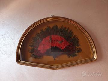 Bacheca con Autentico Ventaglio Africano in piume