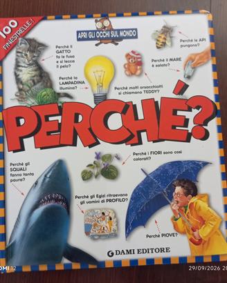 PERCHÉ? 100 Finestrelle