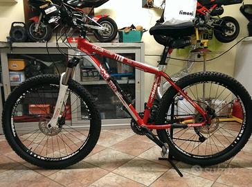 Bicicletta mountain bike