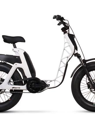 ebike scooter