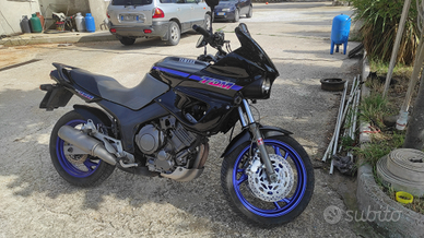 Tdm 850 inscritta asi