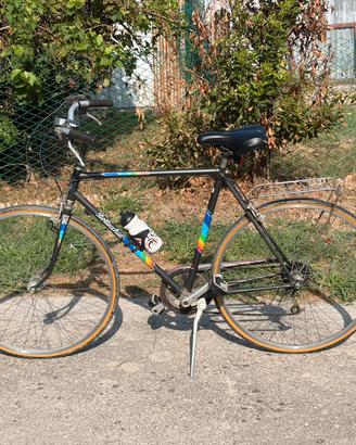 Bici uomo