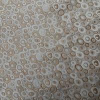 Tessuto Fantasia Vintage